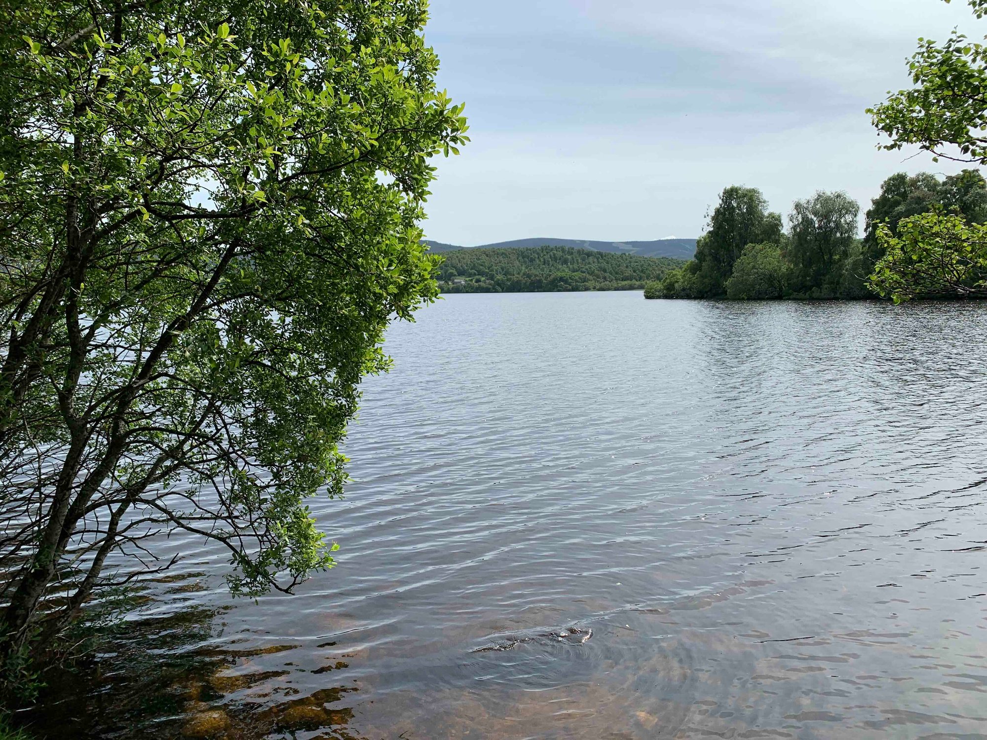 loch kinord loch kinord