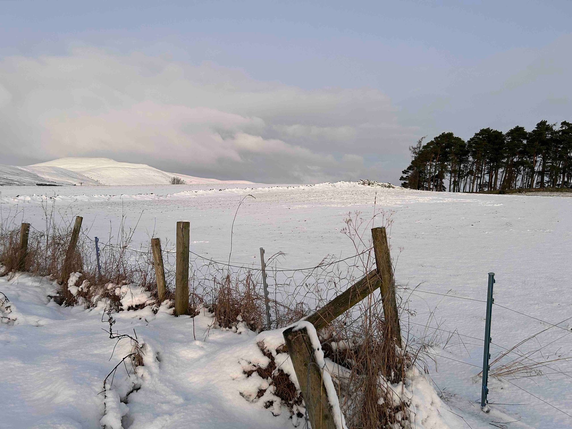 morven morven